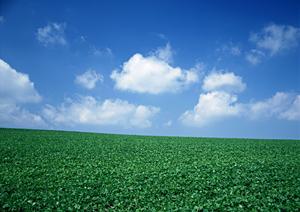 焼津市の安心・信頼の葬儀サービス｜富士葬祭 焼津の特徴と詳細情報