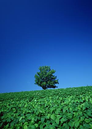 静岡市の家族葬・一般葬対応の高級斎場【富士葬祭 清水有東坂】について完全ガイド