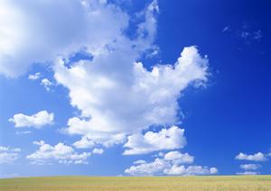 静岡県富士宮市にある信頼の葬儀場【富士葬祭 田中町】の特徴と店舗情報