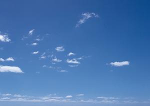 静岡県内の信頼できる葬儀・家族葬・火葬を低価格で提供する「家族葬のタクセル」: サービス内容と店舗一覧