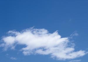 【2025年最新版】鹿児島で選ばれる家族葬のポイントと成功事例徹底解説