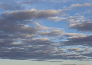 栃木市で信頼の葬儀サービスを提供するさがみ典礼 栃木昭和町の詳細情報と特徴